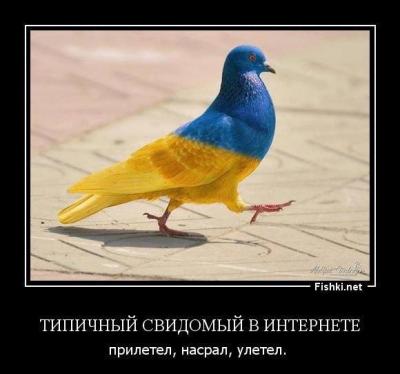 Прикрепленное изображение: 1506787_292410024285828_1884429062239970471_n.jpg